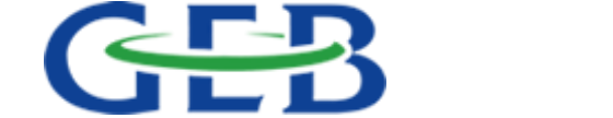 GÜNEY-EGE BİLİŞİM